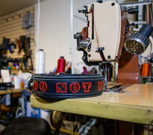 Black "Do Not Pet" Collars